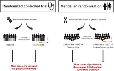 Smoking is an independent but not a causal risk factor for moderate to severe psoriasis: A Mendelian randomization study of 105,912 individuals